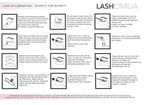 Lash UP Nr 1