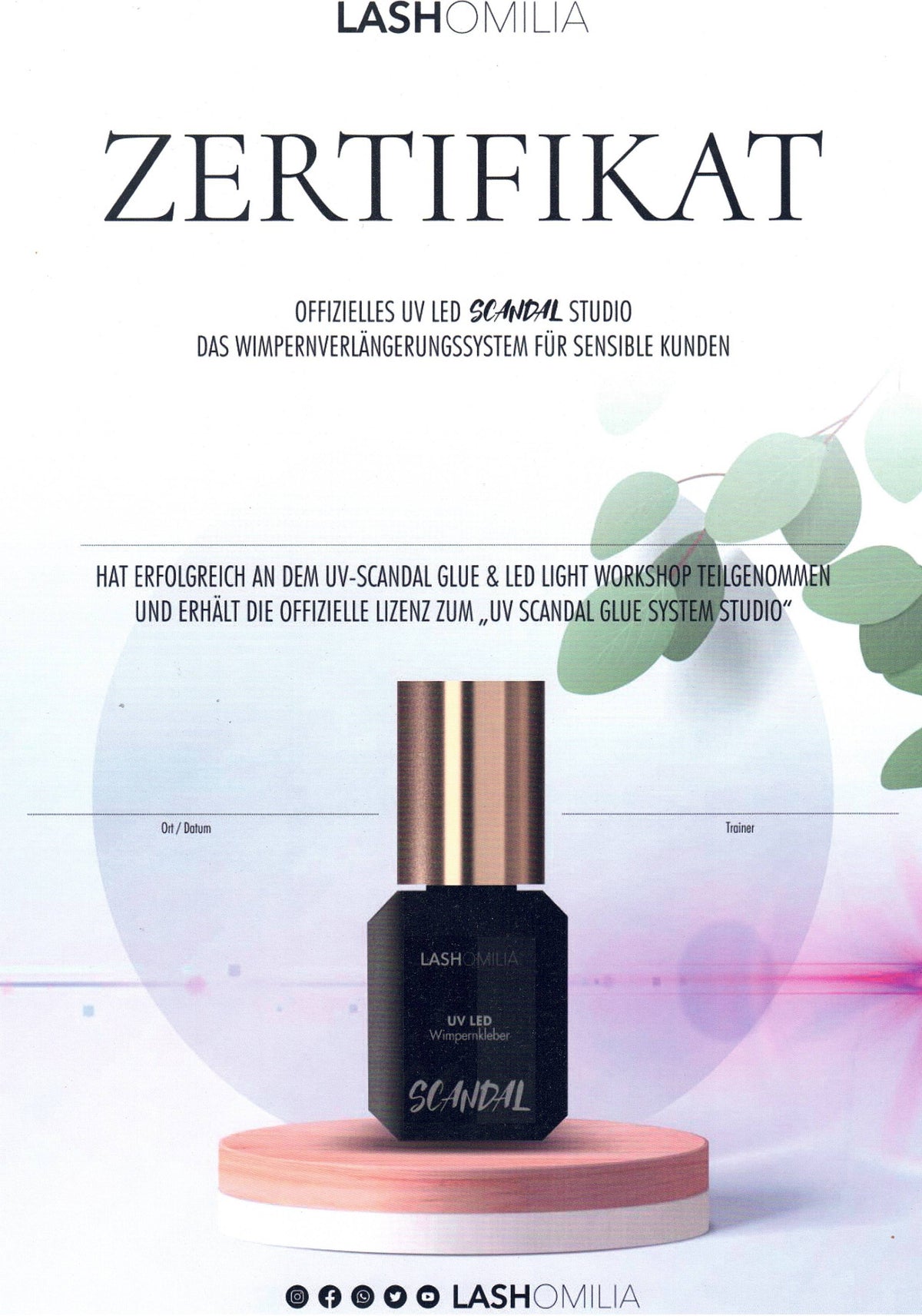 Zertifikat für UV LED Scandal Light
